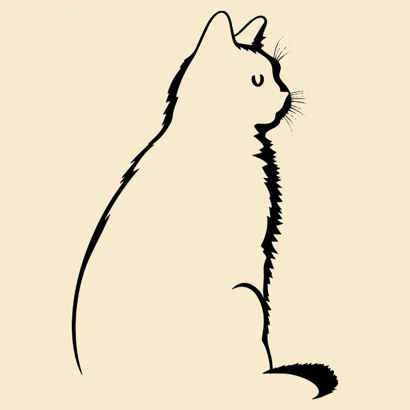 Chat, Motif De Chat