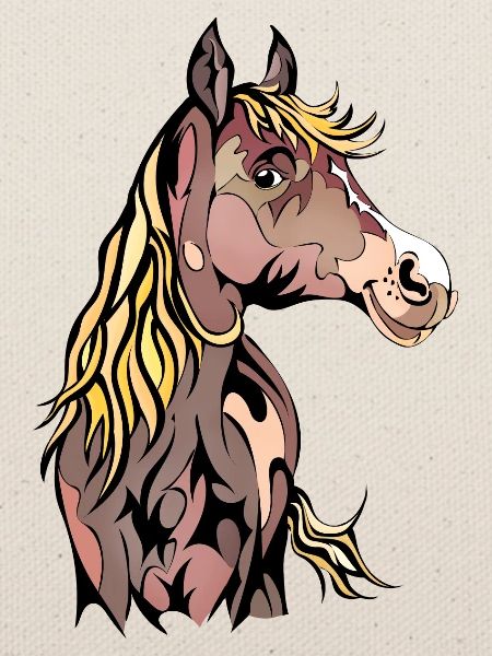 Pintabian Horse