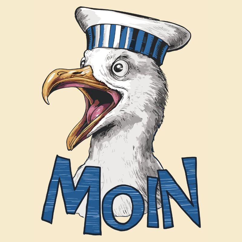 Moin Seagull