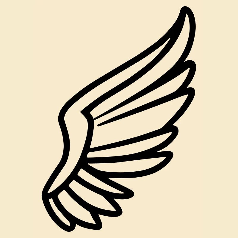 Ailes d'ange