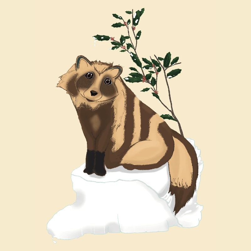 Tanuki sous le gui