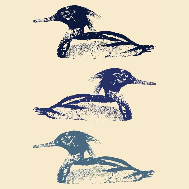 MERGUS