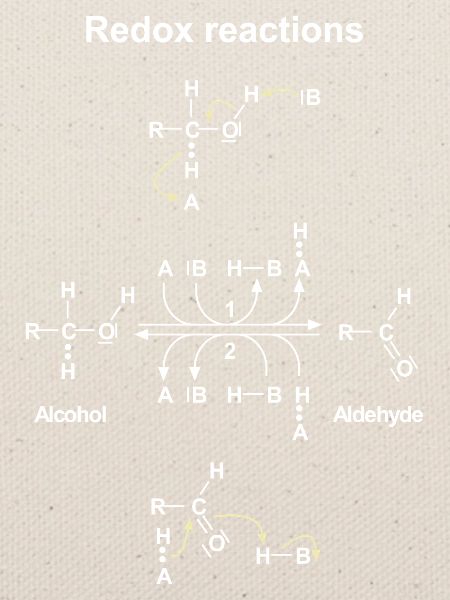 Redox-Redox-Redox-Reaktion