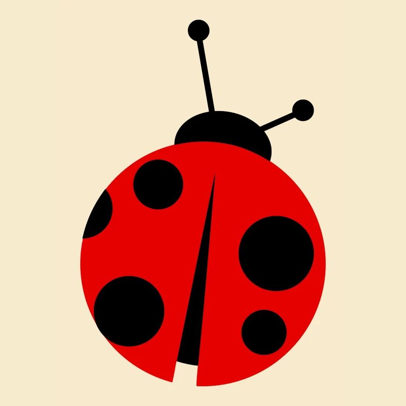 ladybird