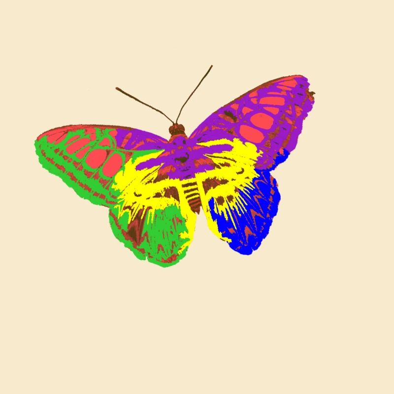 Rainbow Butterfly