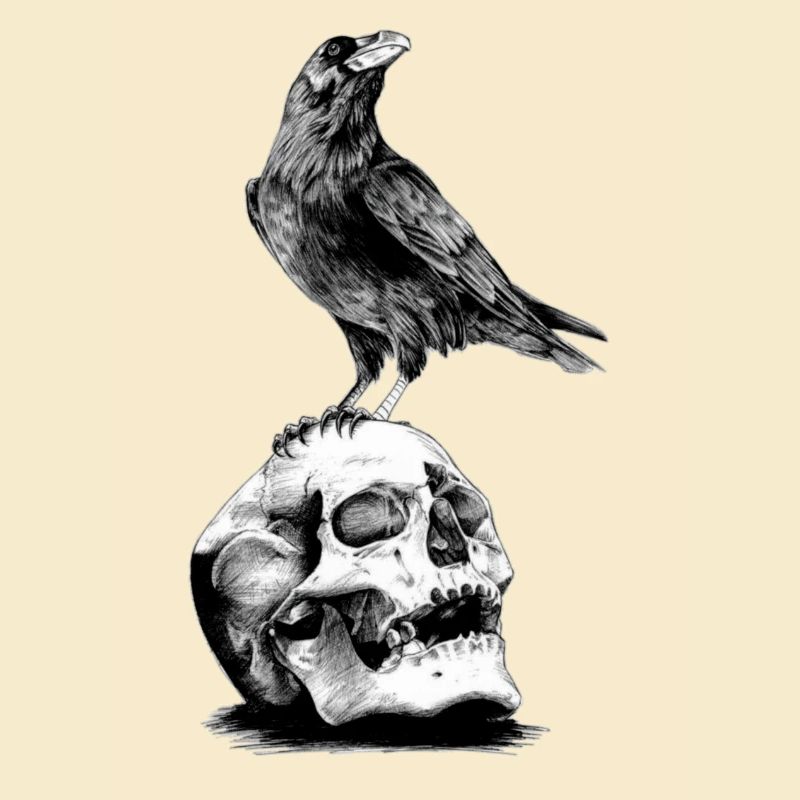 Skull mit Krähe