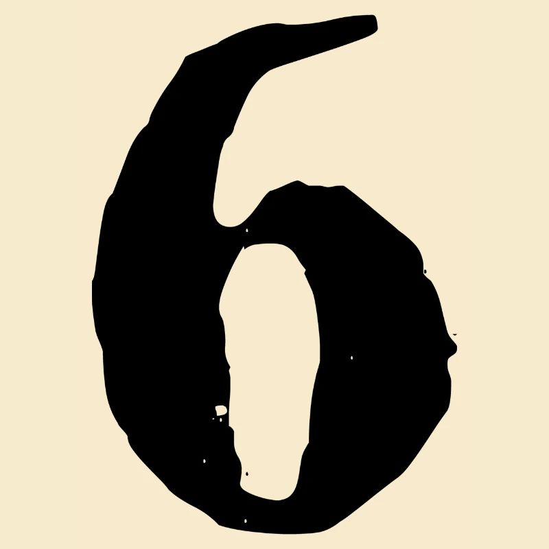 6 Number jersey