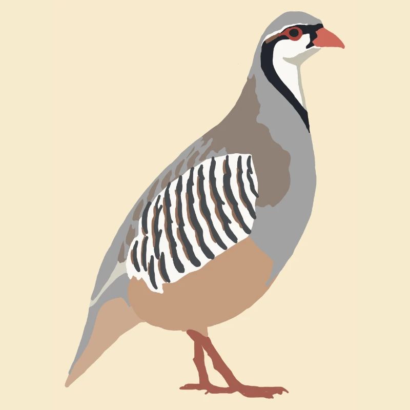 Steinhuhn