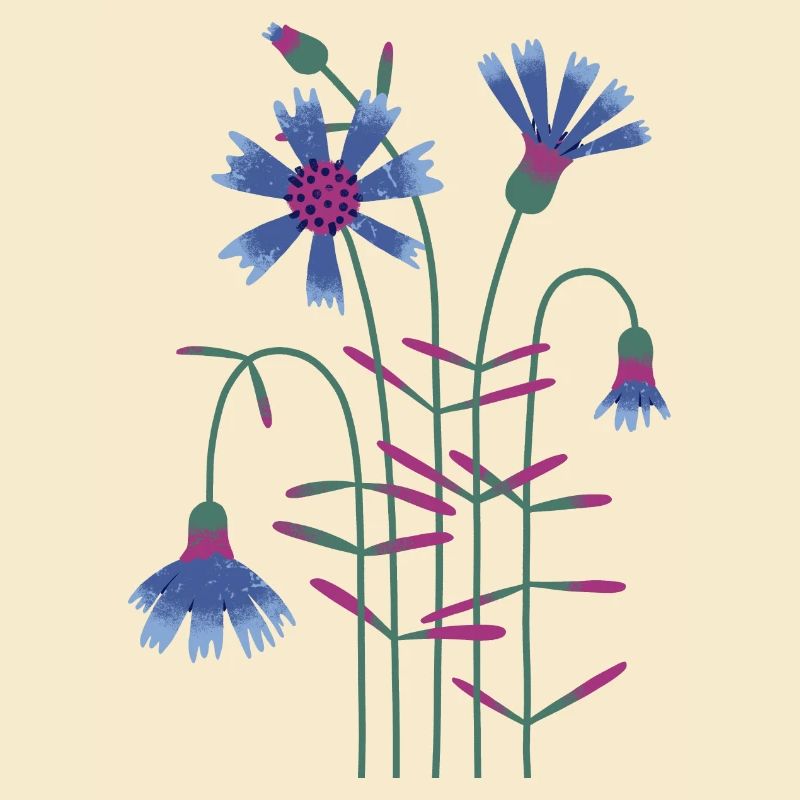 Kornblume