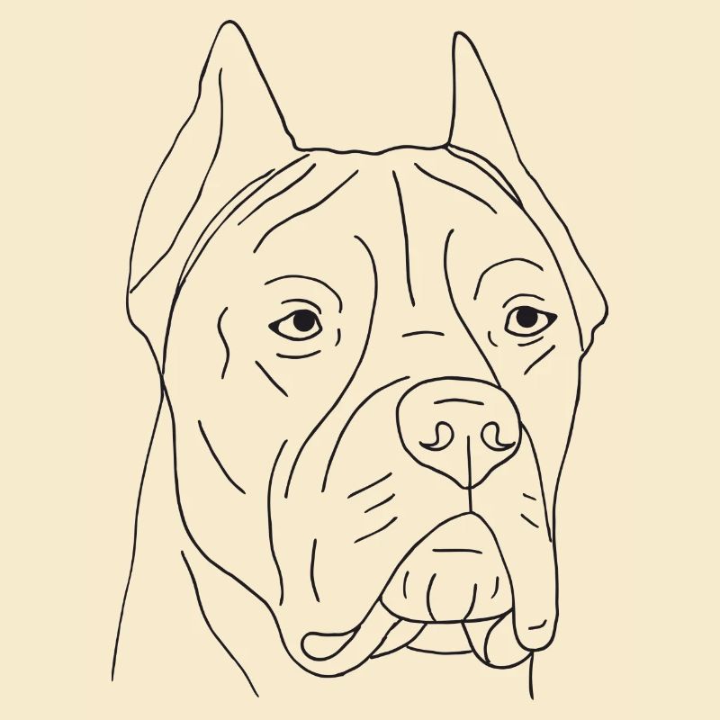 Cane Corso