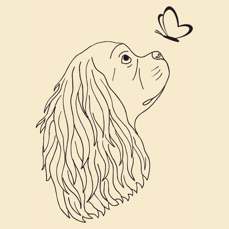 Cavalier King Charles Spaniel