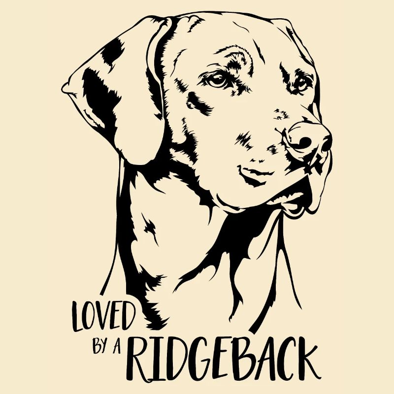 Aimé par un chien Ridgeback Rhodesian Ridgeback