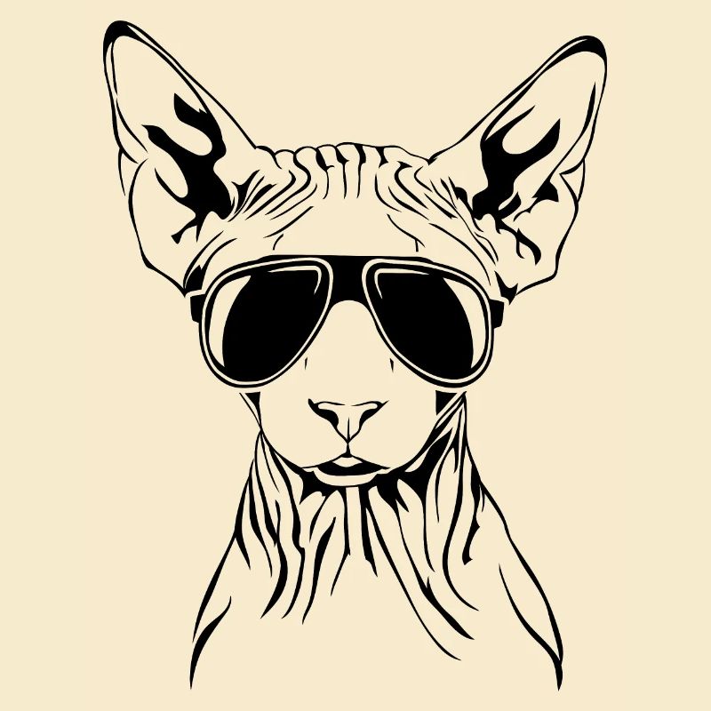 Lunettes de soleil Sphynx Cool Cat Cat Wilsigns