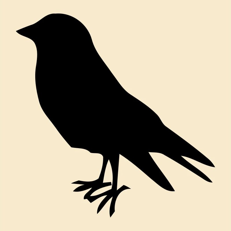 oiseau oiseaux oiseaux tôt