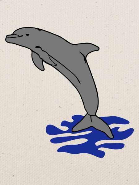 springender Delphin Delfin jumping dolphin