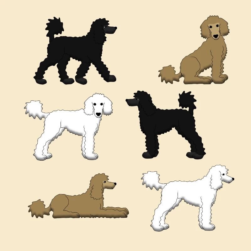 Poodle selection