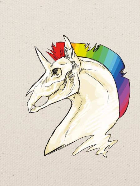Einhorn Schädel