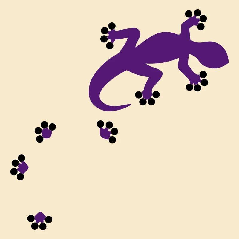 Gecko - 2c