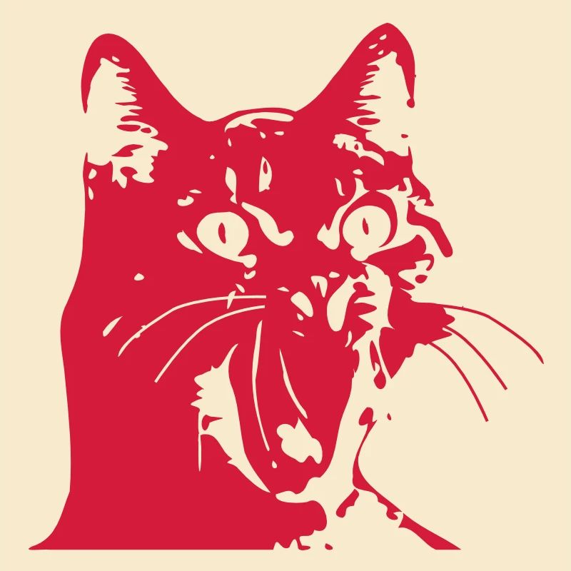 Katze OMG!