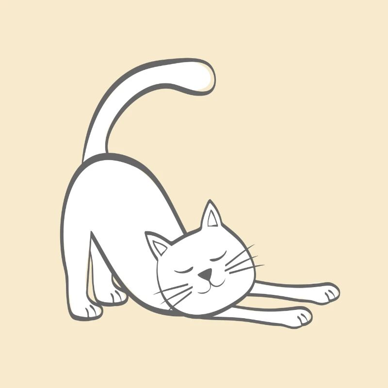 Chat extensible chat chaton stretching stretching