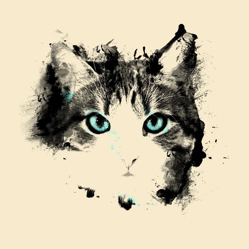 Cat eyes
