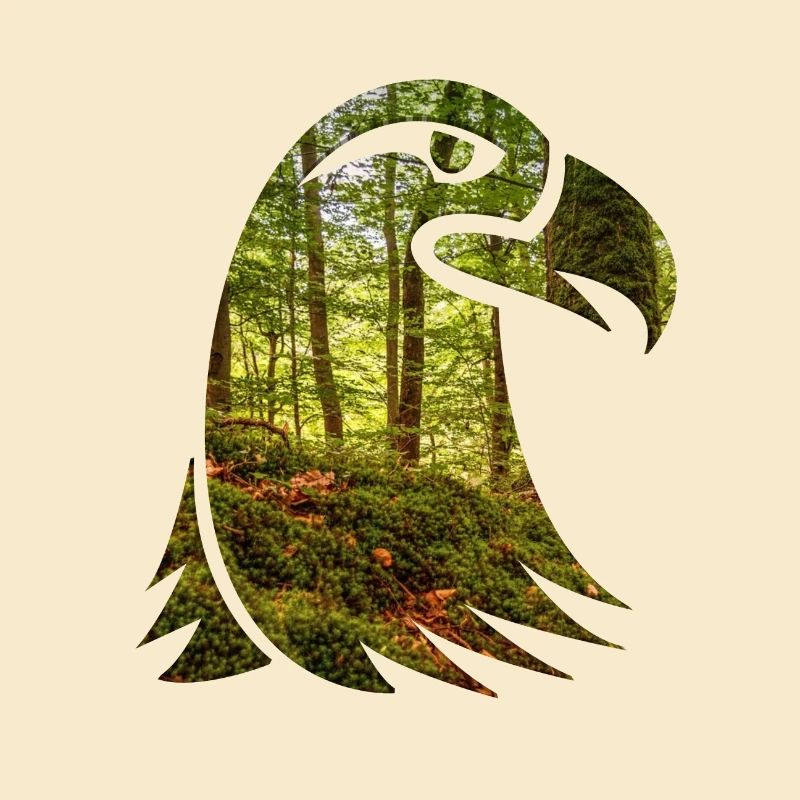 Forest Eagle