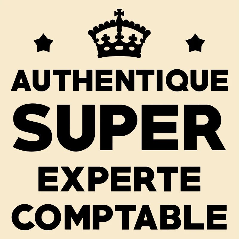 Expert Comptable / Comptabilité / Comptable /