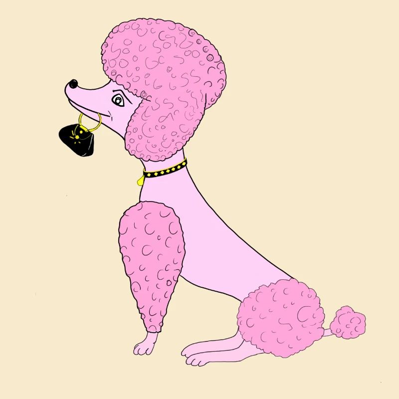 Pudel