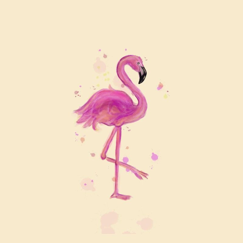 Pink Flamingo Sommer Karibik Sonne