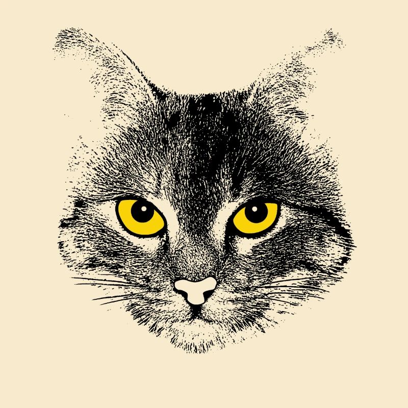 Katzengesicht