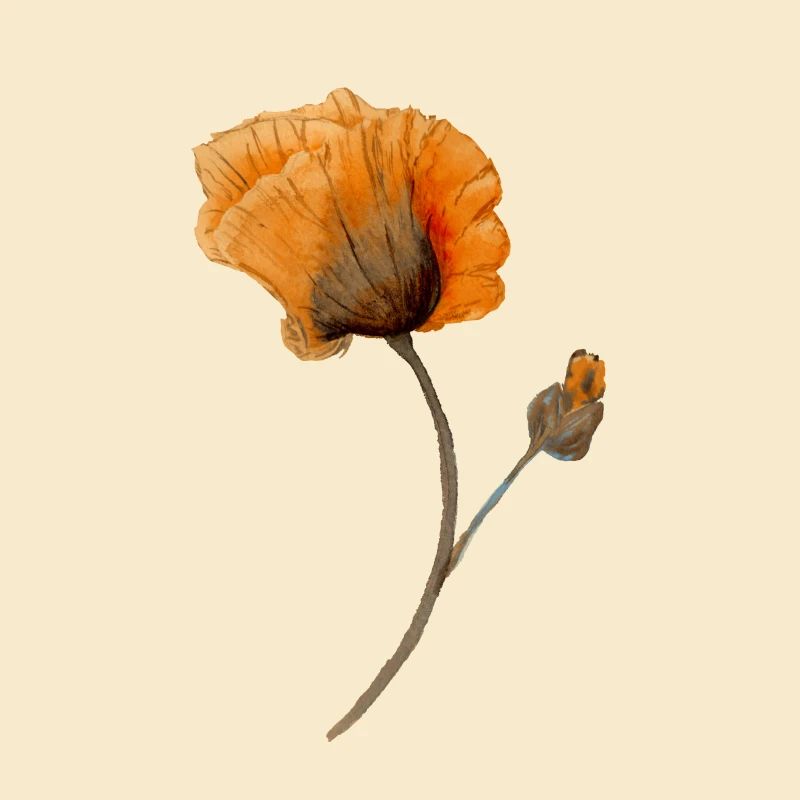 Blume