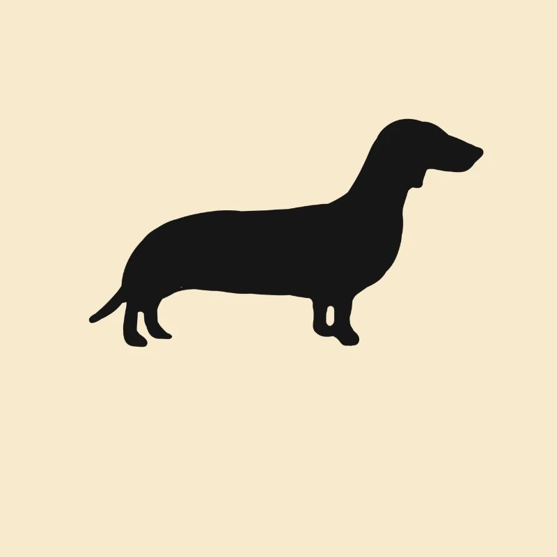 Chien mignon caniche Rottweiler Beagle Chien Teckel