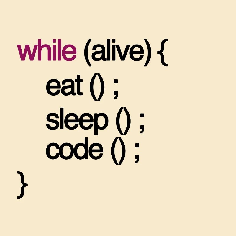 while alive code Computer scientist programming coding