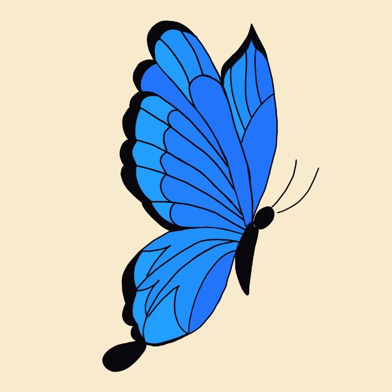 Schmetterling