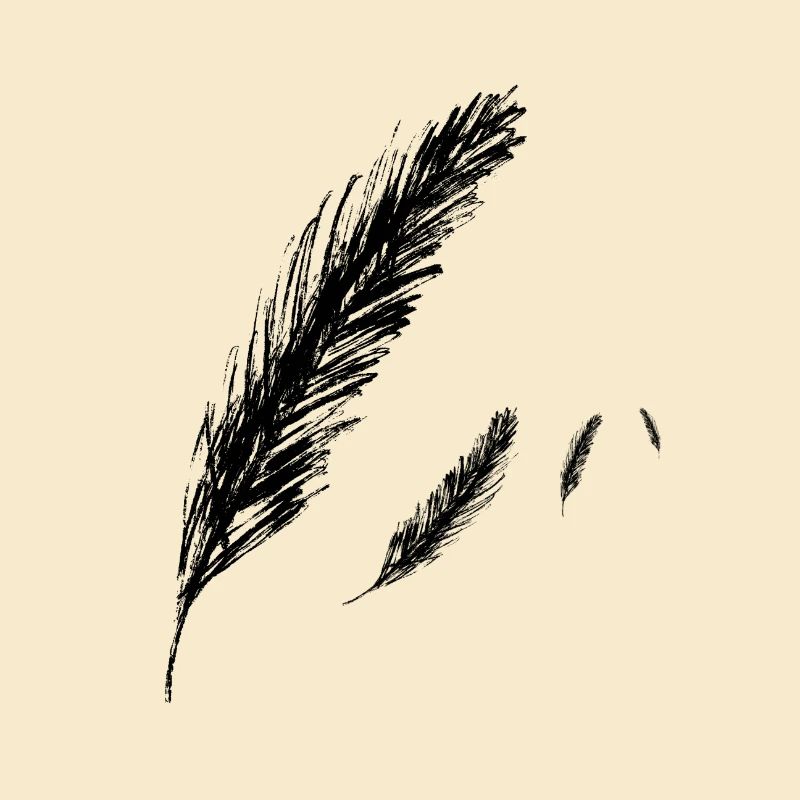 Federn