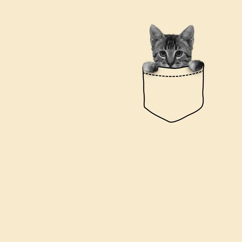 Chat dans ta poche