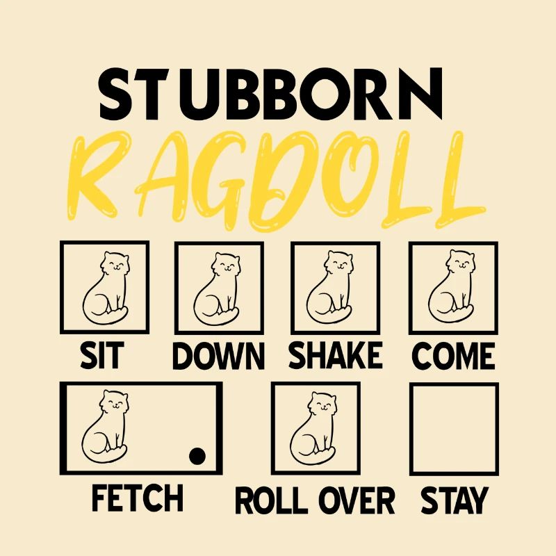 Ragdoll-Katze