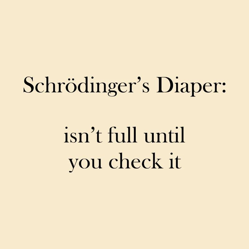 Schrödinger's diaper PhD student gift