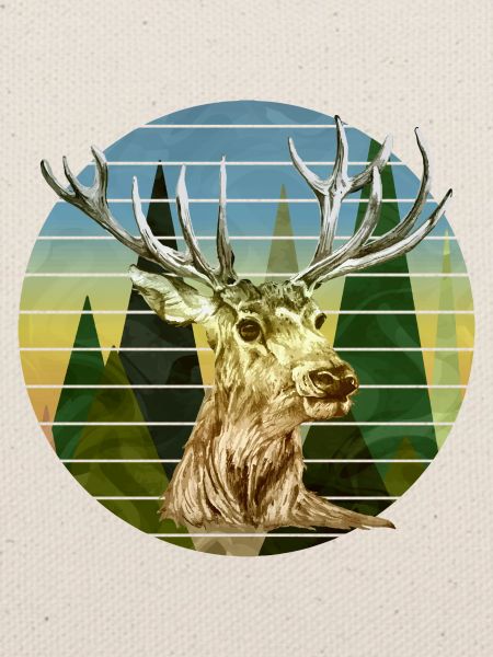 Rotwild