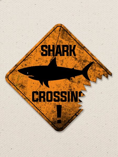 SHARK CROSSING