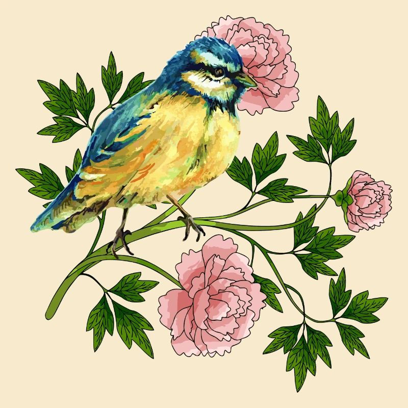 Bunte Vogel