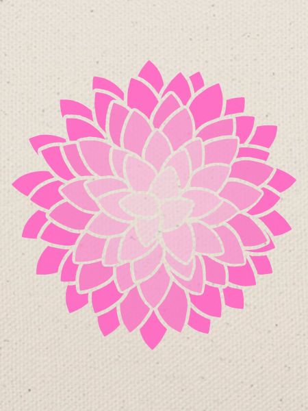 MUMS Flower Pink Blumen