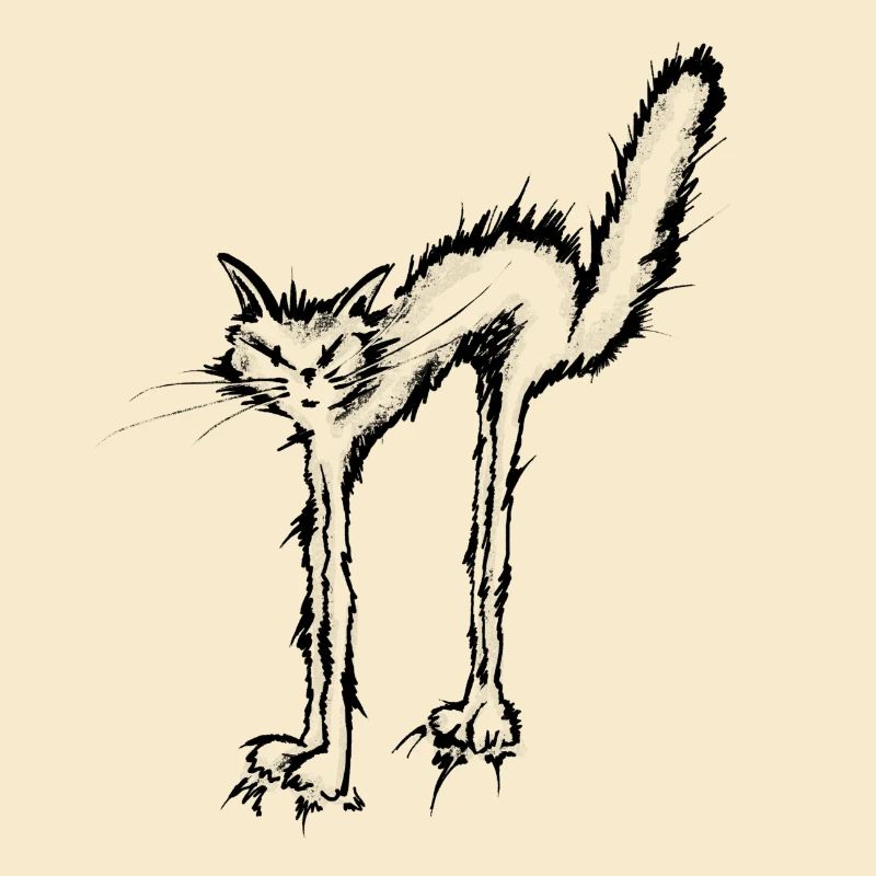 Wildkatze