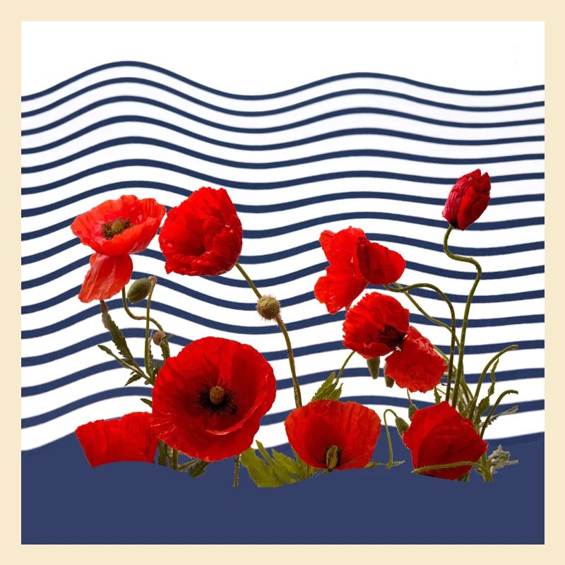 Mohn und See-Küste