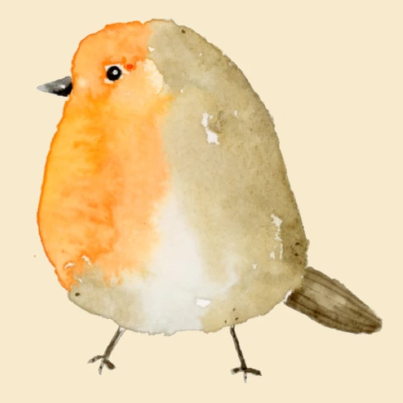 Rotkehlchen Aquarell