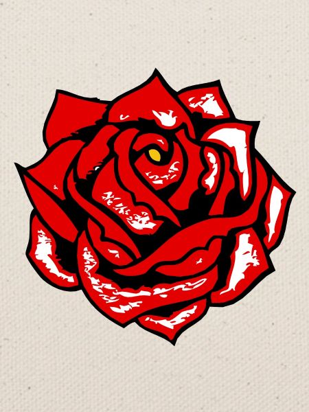 rosa Blume