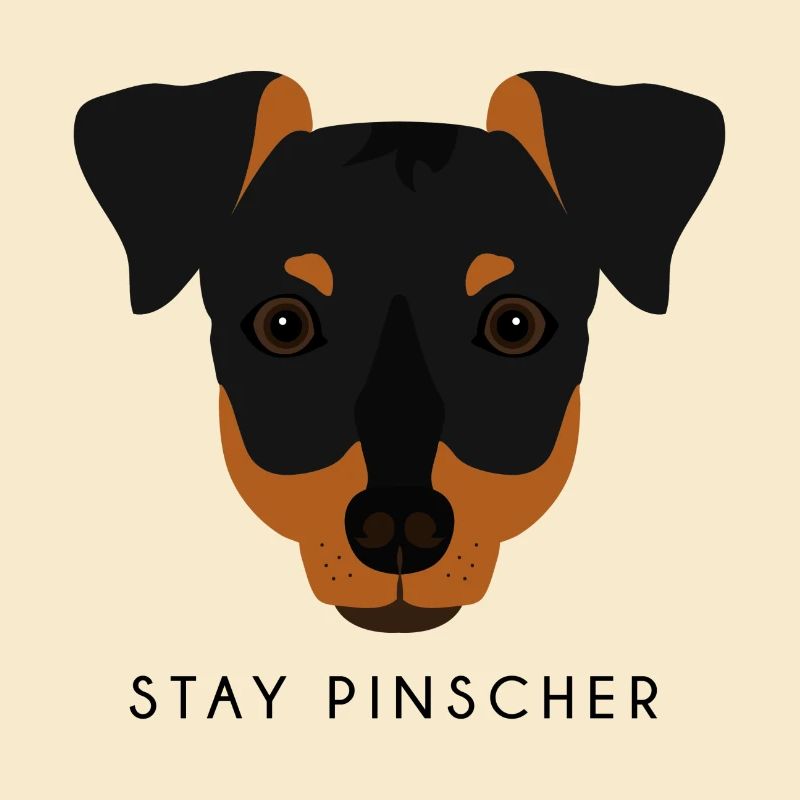 Pinscher - Schwarz