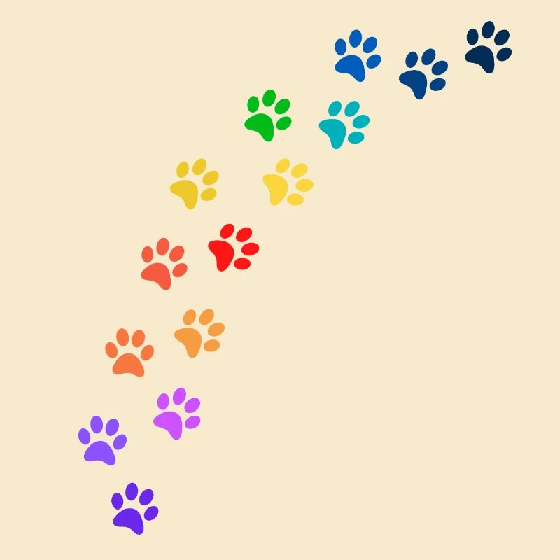 Bunte Tatzen von Hunden oder Katzen | Regenbogen