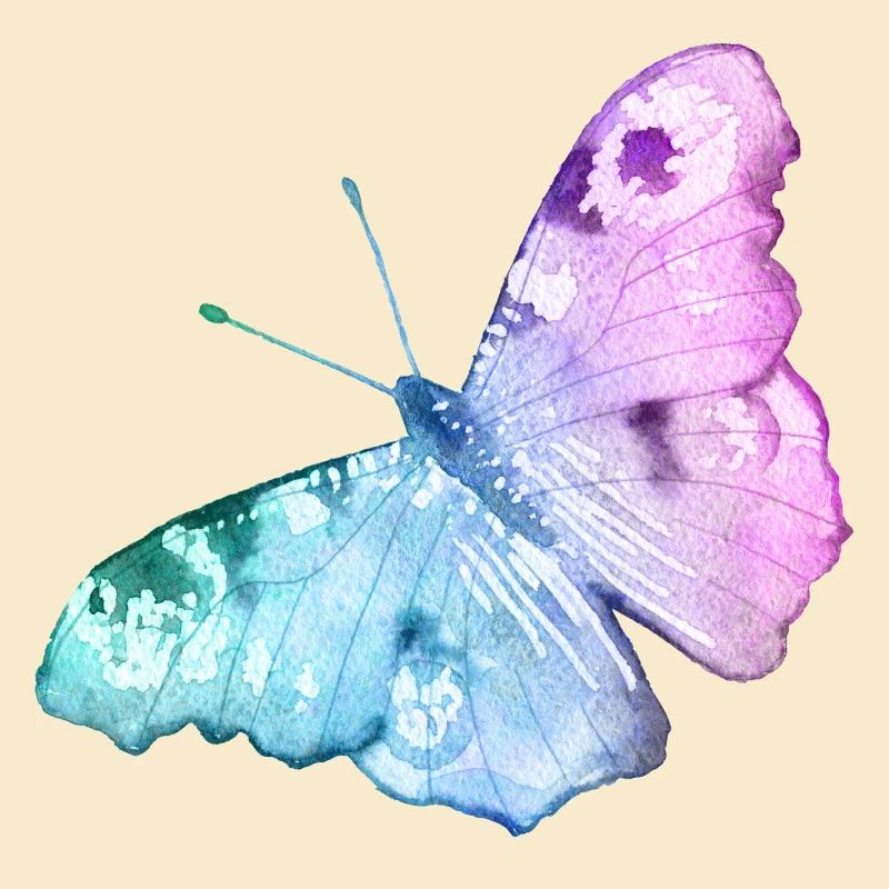 Papillon