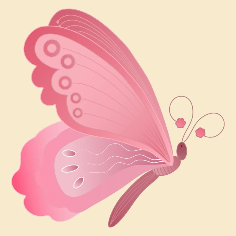 papillon rose